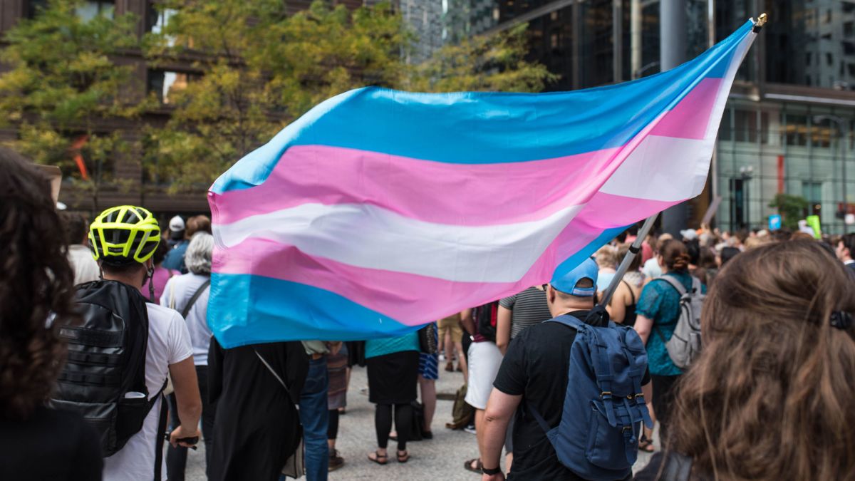 Transphobie : Libération déroule le tapis rouge à Caroline Eliacheff, psychiatre réactionnaire