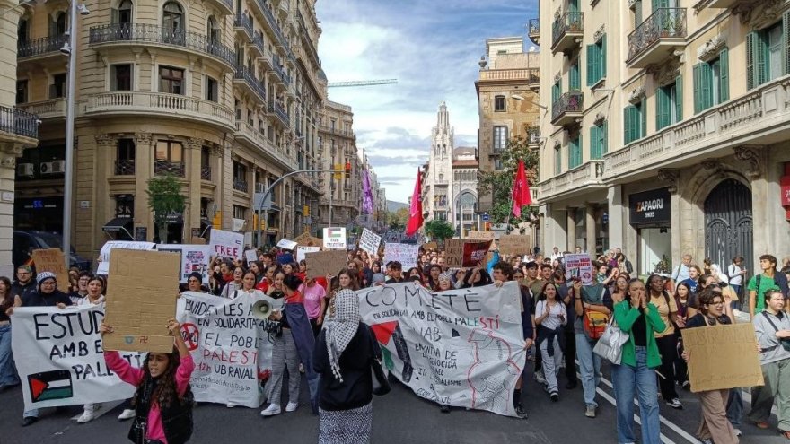 New York, Harvard, Madrid : la solidarité avec la Palestine s'organise depuis les universités