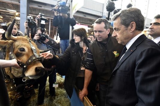 Sarko et la droite au cul des vaches… pour mieux flatter les agriculteurs