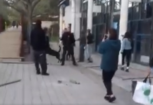 Montpellier : La "sécurité" embauchée par la présidence lâche un chien contre une étudiante mobilisée