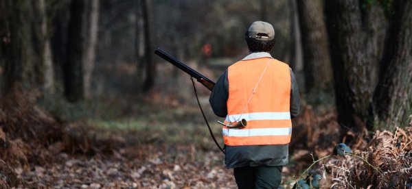 -50% sur le permis de chasse : Macron cherche désespérément des soutiens