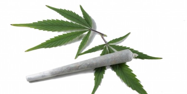 Cannabis. La police va pouvoir dresser des contraventions aux consommateurs