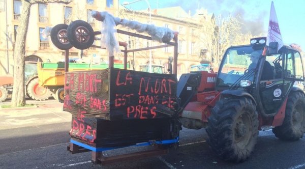 Occitanie : la mobilisation paysanne a payé