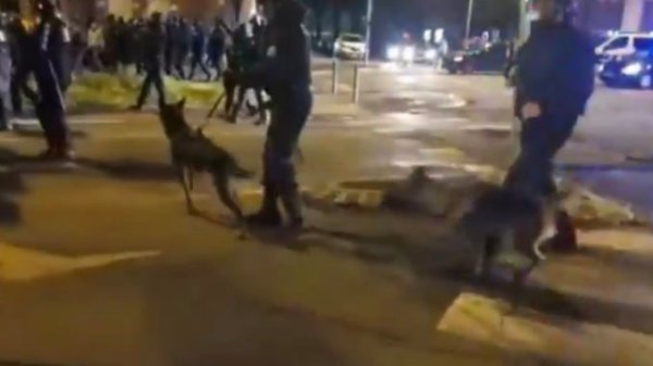 VIDEOS. Cambrai. Les forces de police utilisent des chiens pour réprimer les Gilets Jaunes 