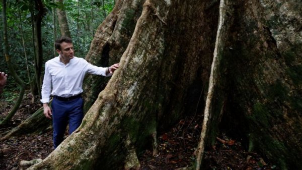 One Forest Summit. Macron tente de cacher l'impérialisme français derrière les arbres gabonais