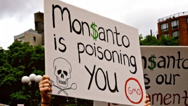 L'Assemblée Nationale rejette un amendement visant à l'interdire le Glyphosate