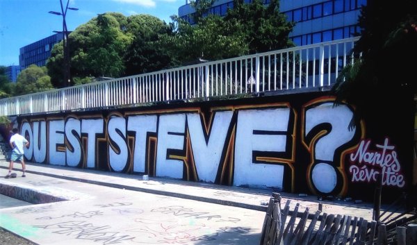 Scandale de la disparition de Steve à Nantes : le Défenseur des droits contraint de sortir du silence