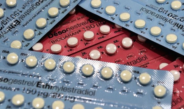Rotterdam. La mairie veut imposer la contraception obligatoire aux femmes « incompétentes »