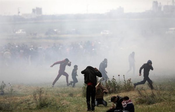 Morts et blessés à Gaza : « La réponse israélienne a été complètement criminelle »