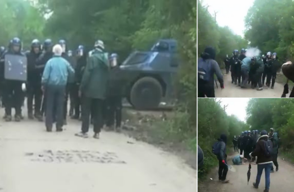 Vidéo. Notre-Dame-des-Landes : la police gaze et arrête un grand-père pacifique