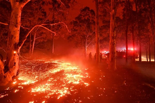 Australie : les incendies dévastent le pays et la colère monte