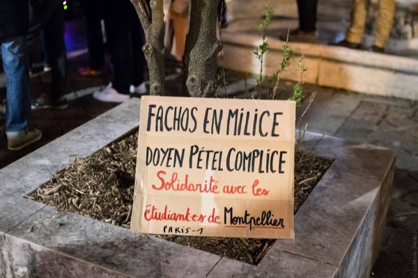 Affaire Pétel : Paris, Rennes, Toulouse, Lyon, et Lille se sont mobilisés pour soutenir les étudiants de Montpellier