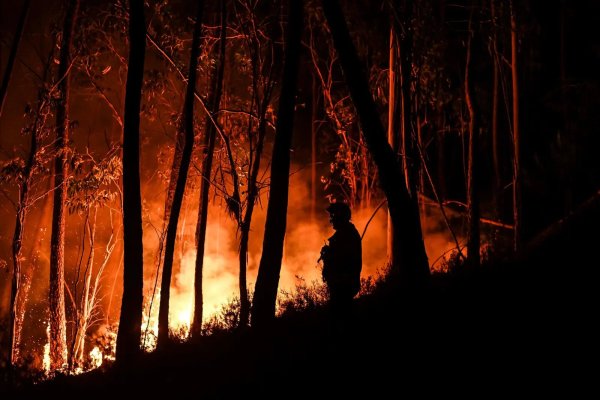 Crise climatique : l'Europe en proie à des incendies monstres