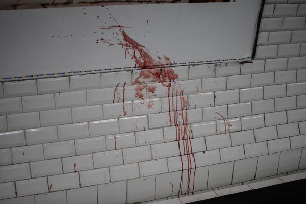 Paris. Hommage à Rémi Fraisse : "Dans le métro, des manifestant.e.s sont matraqué.e.s, leur sang recouvrant les murs du quai"