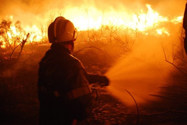 Multiplication des incendies dus à la sécheresse : plusieurs pompiers blessés