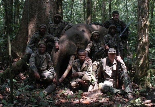 Peuples autochtones mis à terre et trophées de chasse suspendus : WWF et colonialisme vert