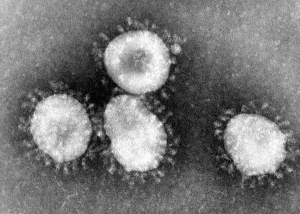 Coronavirus : démêlons le vrai du faux à la veille de la pandémie