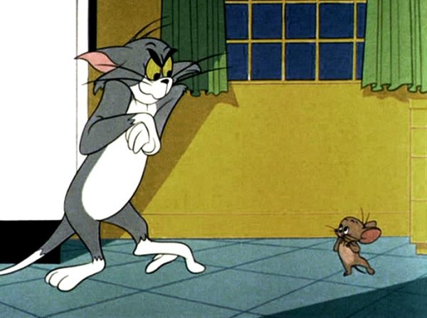 Egypte. Comment Tom et Jerry déstabilisent le Moyen-Orient ? 
