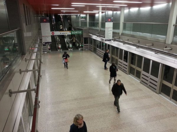 Toulouse. Les policiers tabassent un homme menotté, interpellé dans le métro