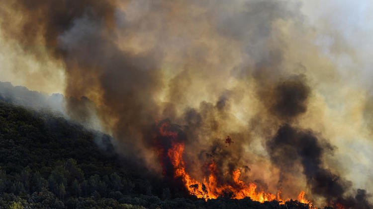 Les Pyrénées Orientales ravagées par un incendie. Un avant-goût d'un été de catastrophes ?