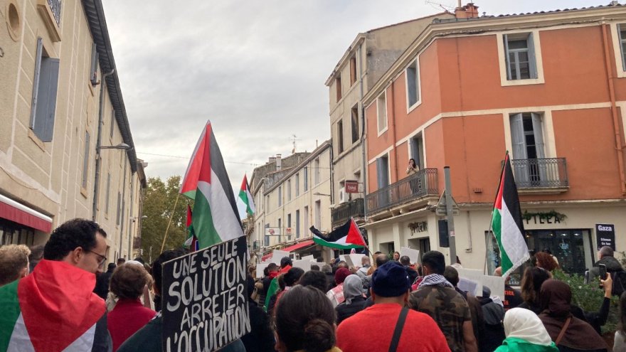 Une militante BDS Montpellier convoquée par la police après un discours de soutien à la Palestine